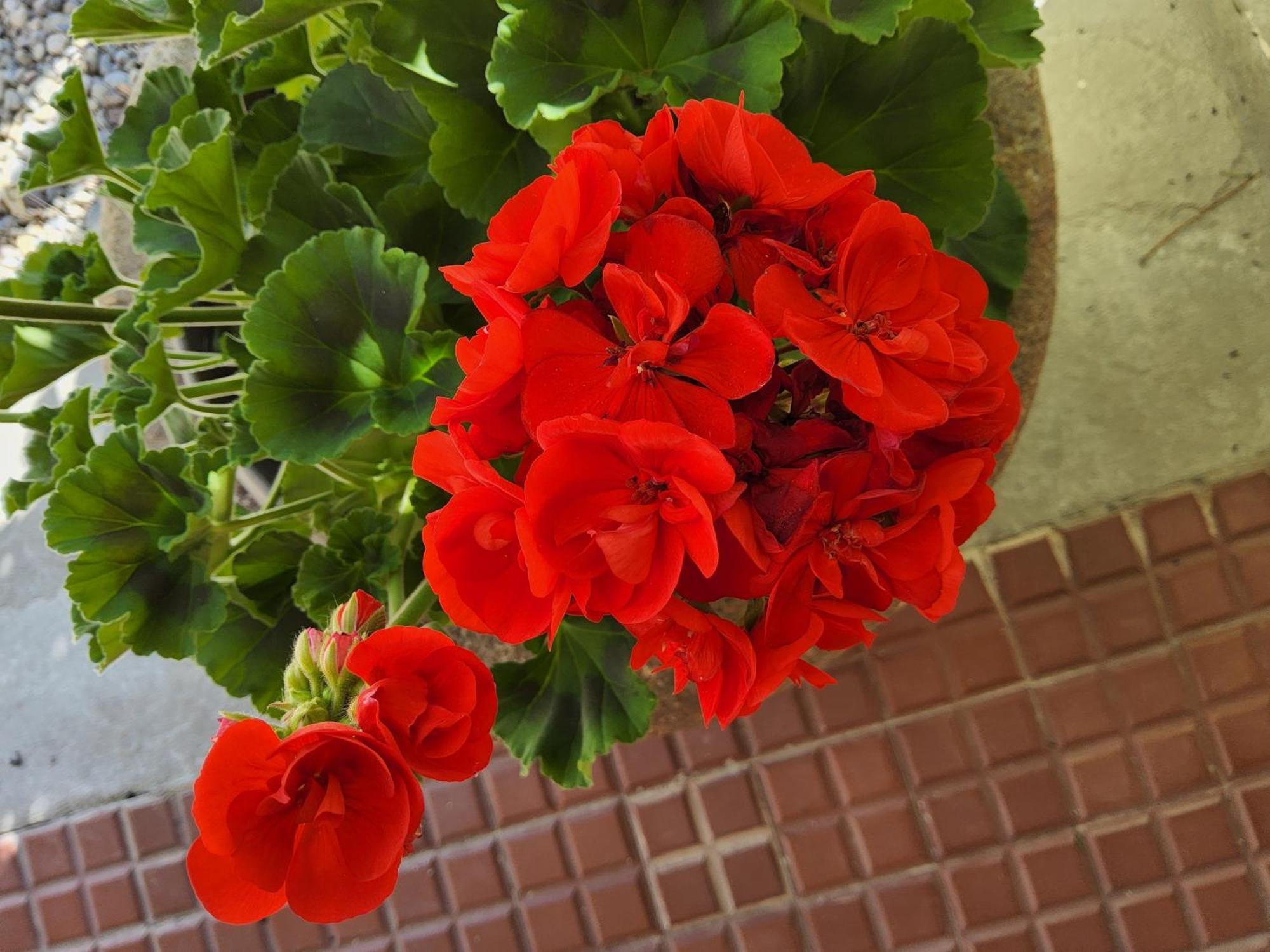 Corte Martinola Bed&Breakfast In Franciacorta Ome Экстерьер фото